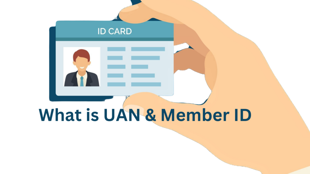 What is UAN and Member ID