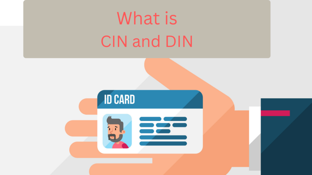 CIN and DIN in Company